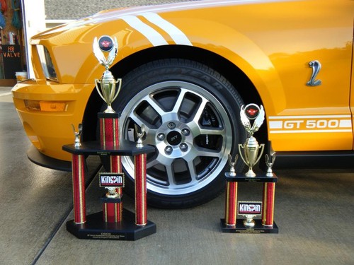 2011 2012 2013 2014 Mustang Fender Hash Mark Stripe Stripes PAIR GT GT500 V6 V8 - Picture 2 of 2