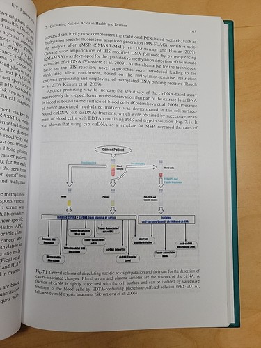 Nucleic Acids and Molecular Biology Extracellular Nucleic Acids Y Kikuchi Rykova - Imagen 13 de 15