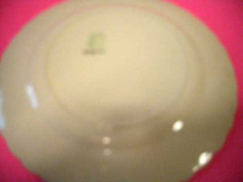 VINTAGE HEDGEROW MYOTT OLD CHELSEA DINNER PLATE 10" STAFFORDSHIRE ENGLAND - Picture 4 of 5