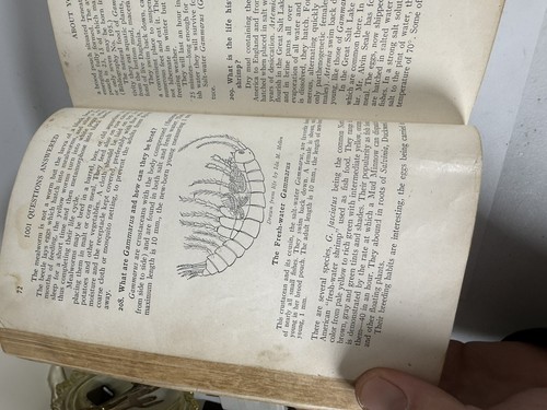 1001 Questions Answered About Your Aquarium By Ida Mellen Hard Cover 1st Ed 1935 - Picture 14 of 22