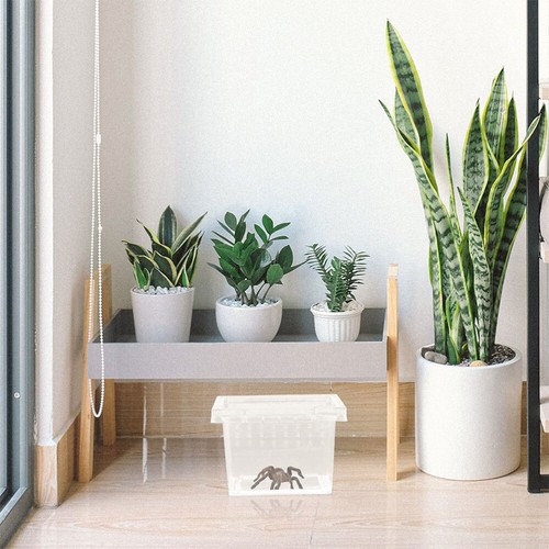 12Pcs Clear Crickets Keeper Snake Cage Household Reptile Box Reptile Supply - Picture 7 of 12