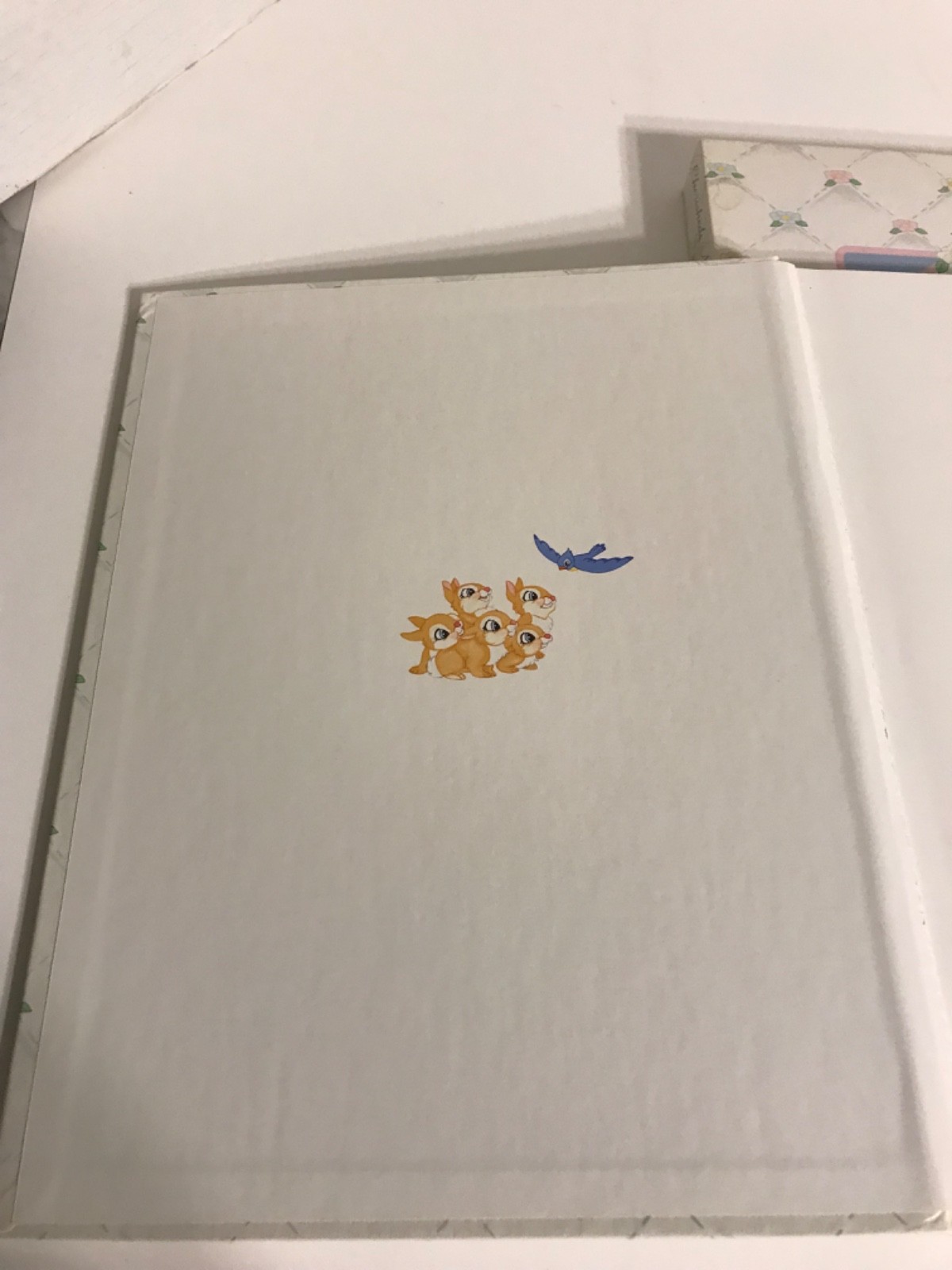 Picture 13 of 23
