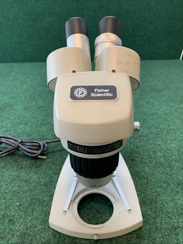 Fisher Scientific Stereomaster II Mikroskop SPT-IH mit SW10X Okularen beleuchtet - Bild 8 von 9