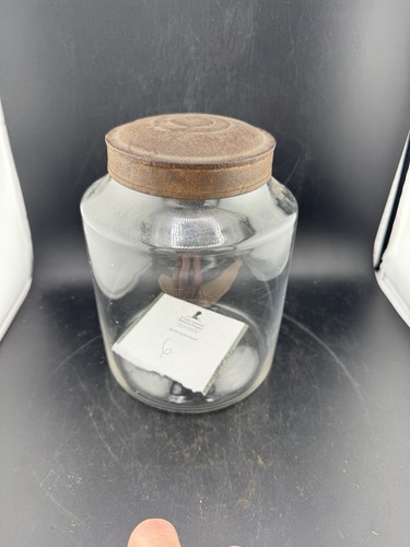 Primitive - kürzere stummelige Apotheker Vorratsdose aus mundgeblasenem Glas, 1860 - 85 - Bild 14 von 14