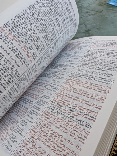 1989 Nelson Holy Bible KJV Reference Edition Red Letter #2005 Bonded Leather - Bild 18 von 20
