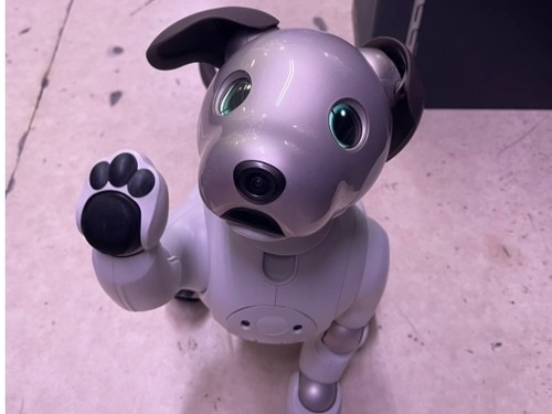 Sony AIBO ERS-1000 Entertainment Robot Dog Ivory White From Japan