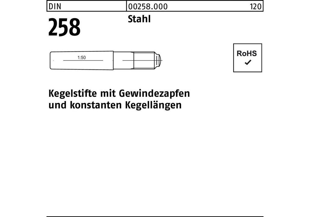 Рейхер Кегельштифт DIN 258 м.Gewindezapfen 8 x 55 Stahl DIN 258