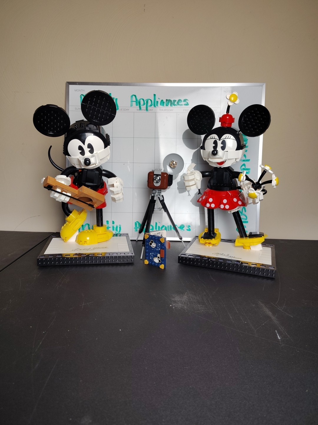 Picture 21 of 21