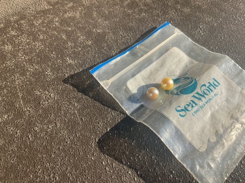 TWO Loose Cultured Pearl * 1980 Sea World - Bild 4 von 5