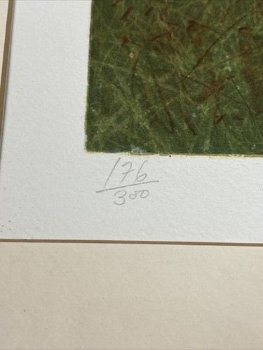 Wayne Cooper Limited Edition Framed Print 176/300 Signed - Picture 5 of 15