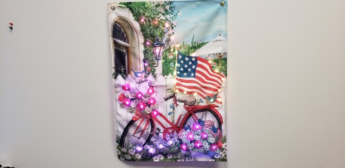 Smart RGBIC BLE LED 4TH of July Bike and Flags Canvas Light - Picture 2 of 5