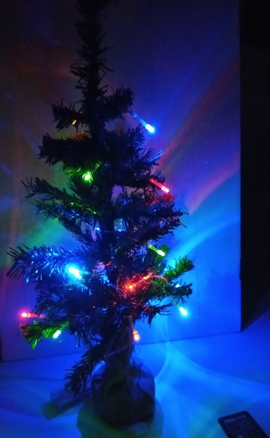 Picture 5 of 6