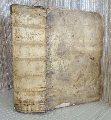 1623 GREEK DICTIONARY antique 17th century Lexicon Graecolatinum VELLUM BINDING - Imagen 2 de 11