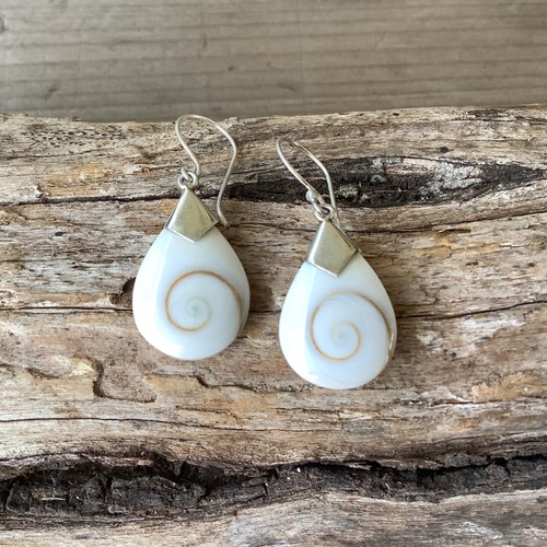 Lovely Shiva Shell "Mermaids Money" Sterling Silver Earrings - Picture 6 of 15