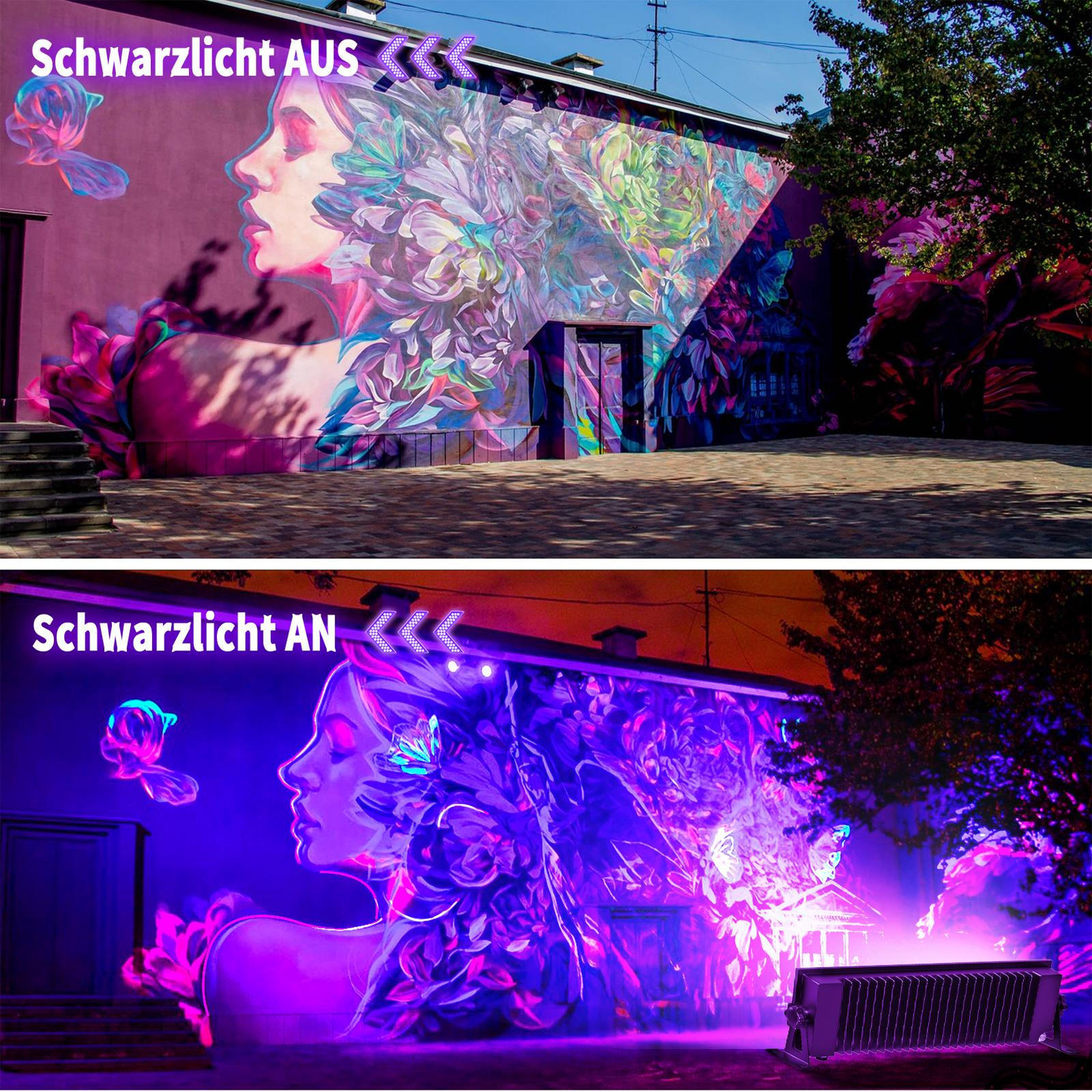 Bild 9 von 12