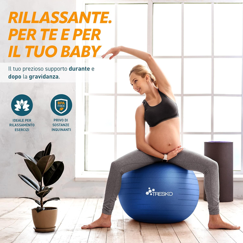 Palla Fitness, Palla Pilates Anti-Scoppio 55Cm/65Cm/75Cm/85Cm Palla Da Ginnastic - Foto 6 di 12