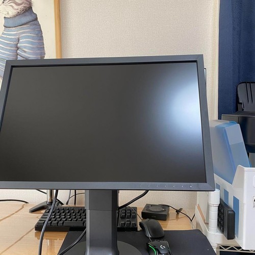 EIZO ColorEdge CS2400R 24.1 Inches LCD Monitor Used - Picture 9 of 14