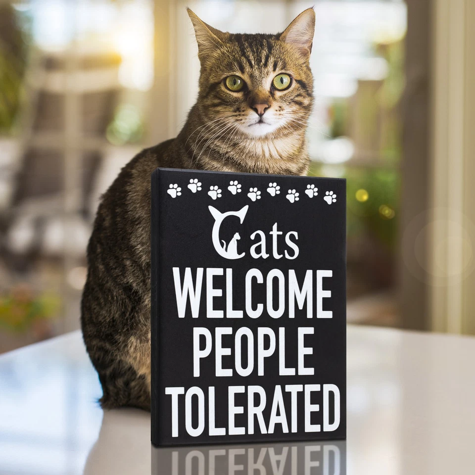 Cats Welcome People Tolerated Sign Funny Cat Lover Gift Rustic Wall Decor - Image 3 of 4