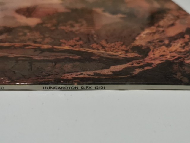 Picture 8 of 8