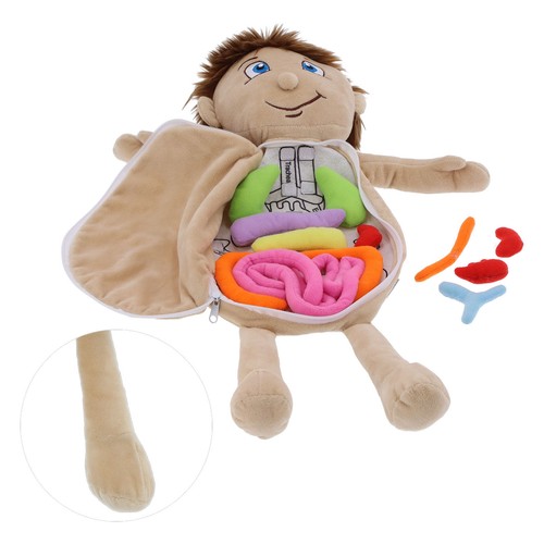 Anatomie Lernpuppe menschlicher Körper Organe physiologisches Lernspielzeug Preschoo - Bild 23 von 24
