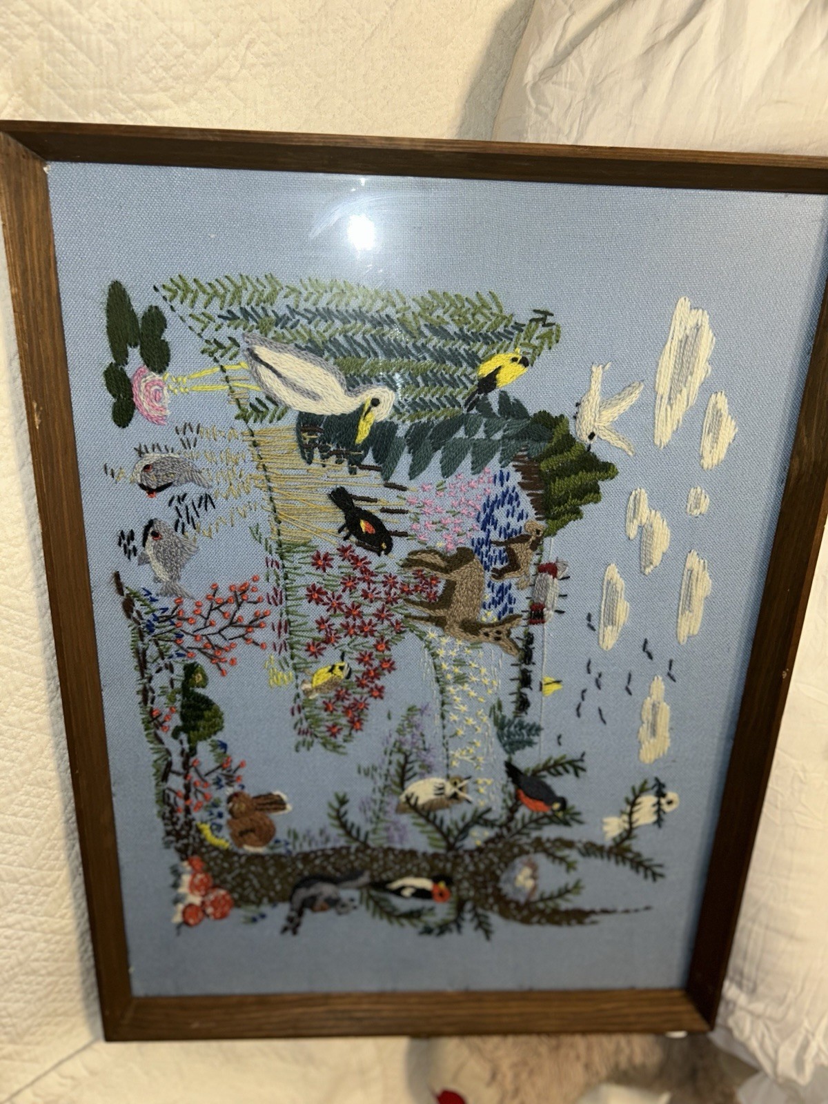 Picture 3 of 14