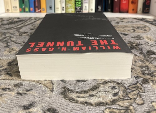 The Tunnel by William Gass (2007, Paperback) RARE, OOP, Dalkey Archive Print - Picture 6 of 8