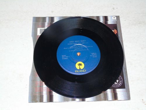AND WHY NOT? - Something U got - 1990 UK 2-track 7" Vinyl Single - Picture 3 of 4