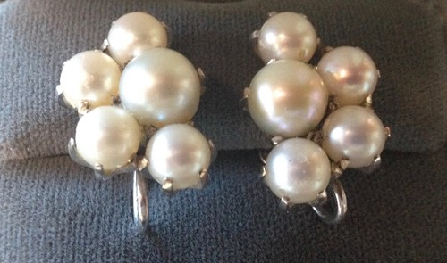 Pearl Cluster Screw Back Earrings set in 14K White Gold - Picture 1 of 2