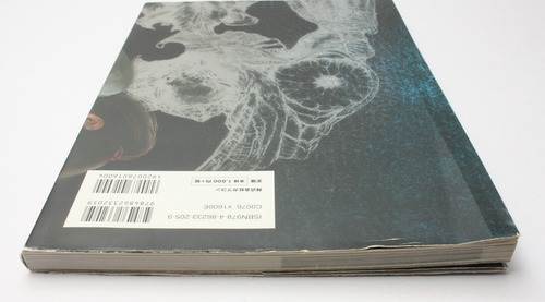 Biohazard DEGENERATION Visual & Scenario Archive Book Resident Evil Capcom 2009 - Picture 4 of 23