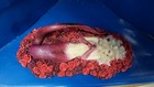 Foto 8 di 13