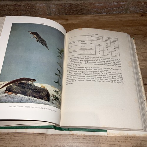 The New Naturalist The British Amphibians & Reptiles M Smith 1954 Collins DJ HB - Picture 14 of 17