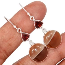 Natural Petrified Wood - Navajo County & Garnet 925 Silver Earrings CE50733