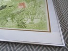 Picture 9 of 13