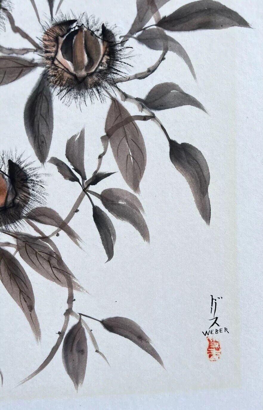 Picture 2 of 6