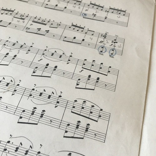 Vintage Sheet Music LENORA POLKA C A Wilson DAMAGED - Picture 8 of 12