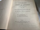 Picture 5 of 20