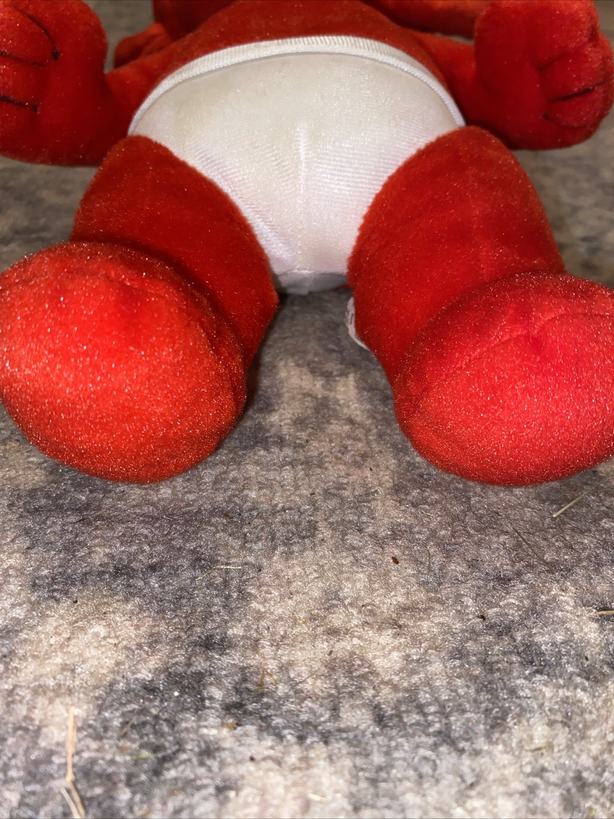 Picture 5 of 13