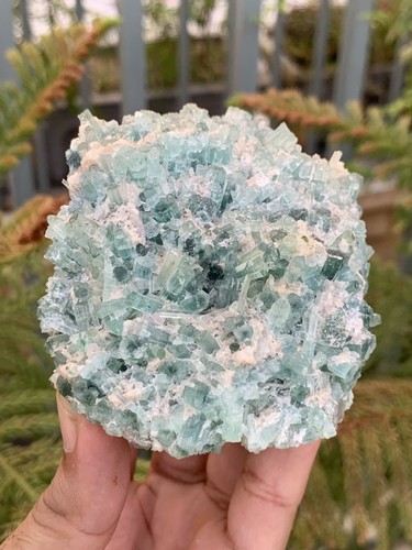 444 Gm Natural Indicolite Tourmaline Crystal Bunch Specimen From Afghanistan  - Picture 2 of 13