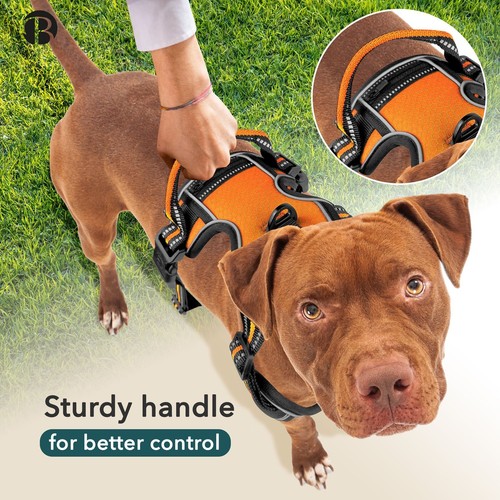 Hundegeschirr Mittlere Hunde, Anti-Zug Brustgeschirr mit Tasche Reflektierend, M - Bild 49 von 78