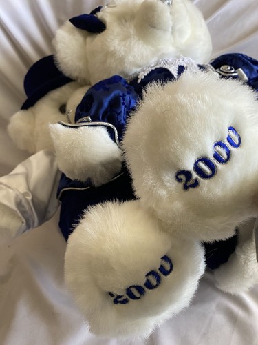 2000 Millennium Plush Bears Y2K Limited Edition Girl Boy White Not Used Velvety - Picture 13 of 14