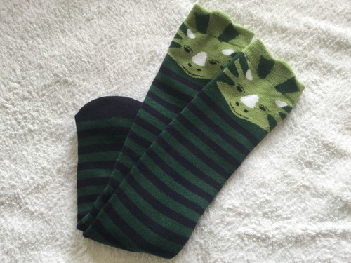BOYS HI QUALITY WARM CUSHION SKI WELLY THERMAL BOOT SOCKS DINOSAUR STRIPE - Picture 6 of 8