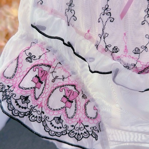 Sexy bragas bordadas de lolita japonesa calzoncillos bragas lazo transparente bragas de princesa - Imagen 6 de 19