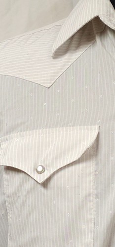 Pan Handle Slim Mens 16-34 Beige Stripe Dots Long Sleeve Button Up Western Shirt - Picture 2 of 12
