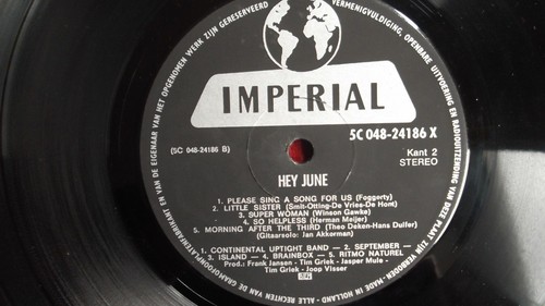 Various Artists - Hey June   ( LP - PSYCHO - BLUES ROCK - RARE ) - Picture 2 of 3
