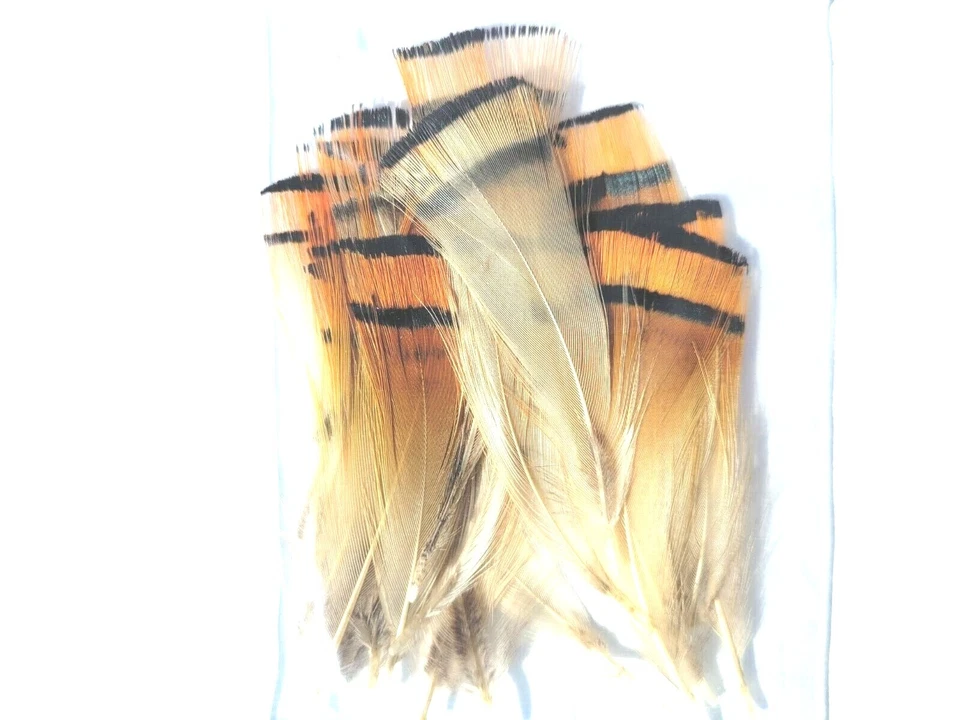 LADY AMHERST - Plumas de faisán - MATERIALES PARA ATAR MOSCAS - 12 COLORES - ¡NUEVO! Foto 2 de 4