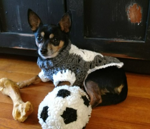 Handmade crochet dog sweater / vest / coat in Skull - Size SX to Small  - Picture 6 of 6