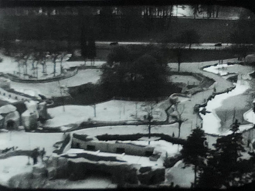 1940 er Jahre Pariser Zoo von Vincennes 8 mm Privat Film in s/w Dauer 8:56 min - Bild 4 von 7