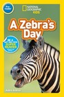 A Zebra's Day (National Geographic Kids Readers, Pre-Reader) by Andrus