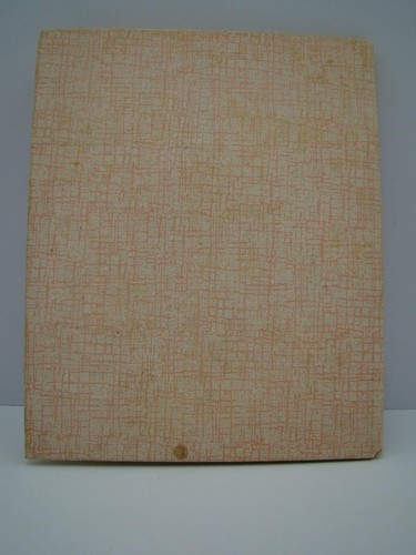 Geschichte unseres Babys Andenkenbuch 1929 Erinnerungsalbum Illustrierte Cover Luftballons - Bild 7 von 9