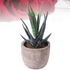 Artificial Plant Bonsai Simulation Succulent Dark Decoration